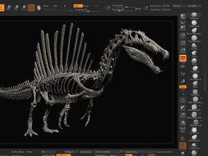 spinosaurus full skeleton sculpt model 3D Model