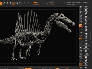 spinosaurus full skeleton sculpt model 3D Model