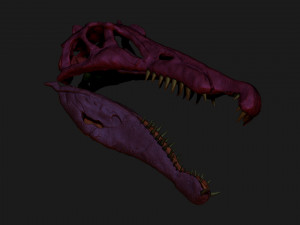spinosaurus full skeleton sculpt model 3D Model