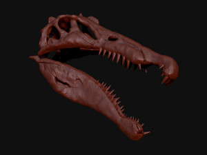 spinosaurus full skeleton sculpt model 3D Model