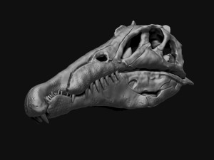 spinosaurus full skeleton sculpt model 3D Model