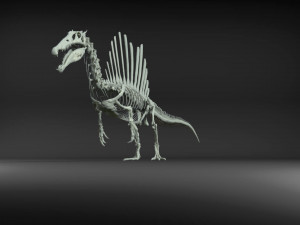 spinosaurus full skeleton sculpt model 3D Model