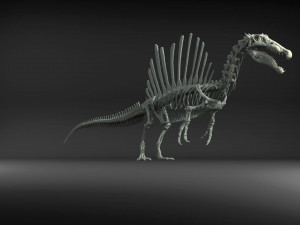 spinosaurus full skeleton sculpt model 3D Model