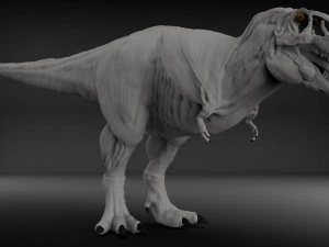 tarbosaurus muscle base model 3D Model