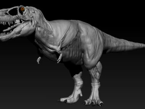 tarbosaurus muscle base model 3D Model
