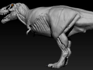 tarbosaurus muscle base model 3D Model