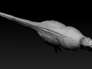 tarbosaurus muscle base model Modelo 3D