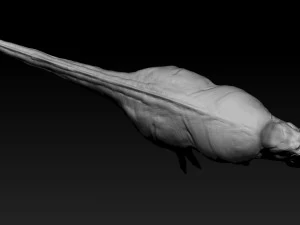 tarbosaurus muscle base model 3D Model