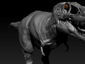 tarbosaurus muscle base model 3D Model