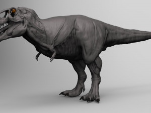 tarbosaurus muscle base model Modelo 3D