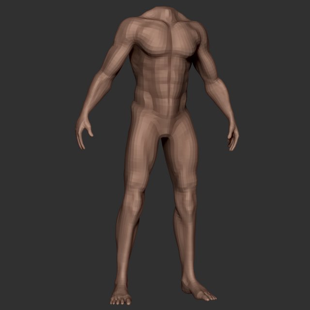 male body anatomy base model vol1 3Dモデル .c4d .max .obj .3ds .fbx .stl .blend 