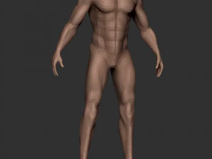 Базовая модель анатомии мужского тела, том 1 3D Модель