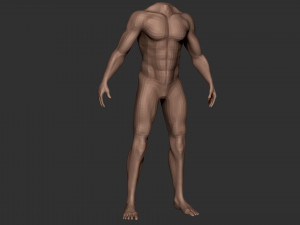 male body anatomy base model vol1 3Dモデル