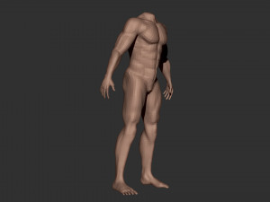 male body anatomy base model vol1 3Dモデル