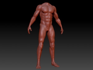 male body anatomy base model vol1 3Dモデル