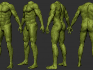 male body anatomy base model vol1 3Dモデル