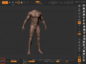 male body anatomy base model vol1 3Dモデル