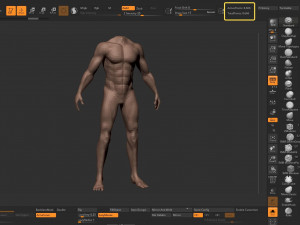 male body anatomy base model vol1 3Dモデル