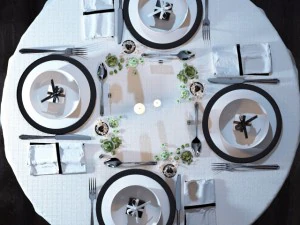 table setting 3D Model