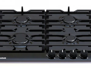 gas hob 3D Model