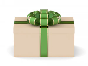 Gift box 3D Model