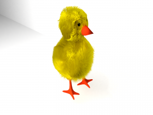baby chicken 3D मॉडल