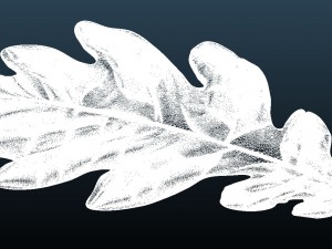 oakleaf592x912x30dxf Modelo 3D