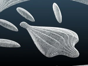 decorsymmetrical548x1000x15 3D Model