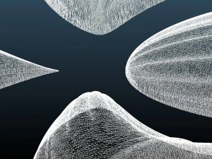 decorangle1000x1000x30 3D Model