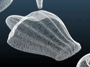 decorsymmetrical276x998x12 Model 3D