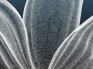 decorangle1012x618x34 3D मॉडल