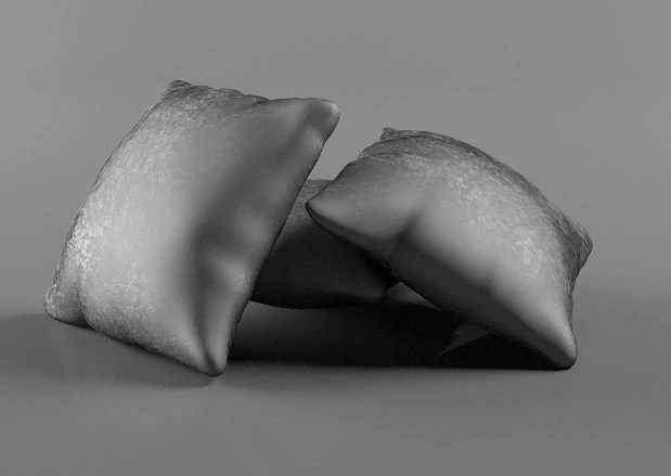 soft 3D Model .c4d .max .obj .3ds .fbx .stl .blend 