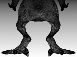gonunkul 3D Model