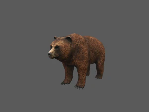 modello di gioco dell'orso Modello 3D
