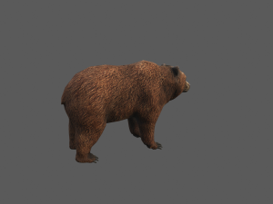 bear game model 3D Model