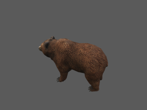 bear game model 3D Model