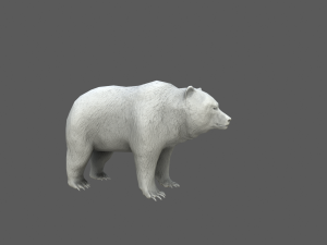 bear game model 3D Model