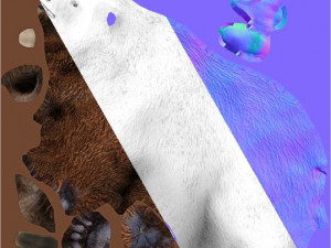 bear game model 3D Model