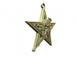 Pentagram and rose pendant 3D Print Model