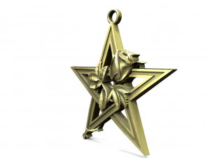 Pentagram and rose pendant 3D Print Model