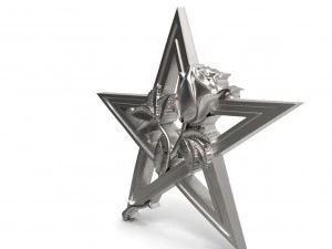 Pentagram and rose pendant 3D Print Model