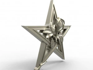Pentagram and rose pendant 3D Print Model
