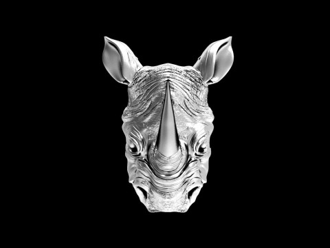 Rhinoceros head pendant 3D Принт Модель