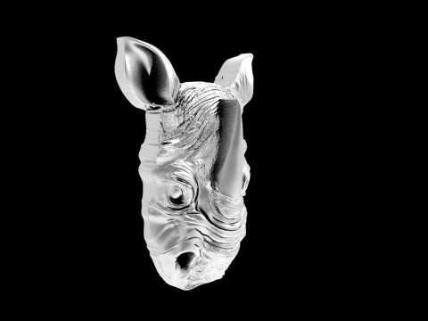Rhinoceros head pendant 3D Принт Модель