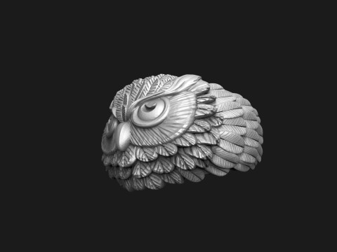 Owl ring Modello di stampa 3D