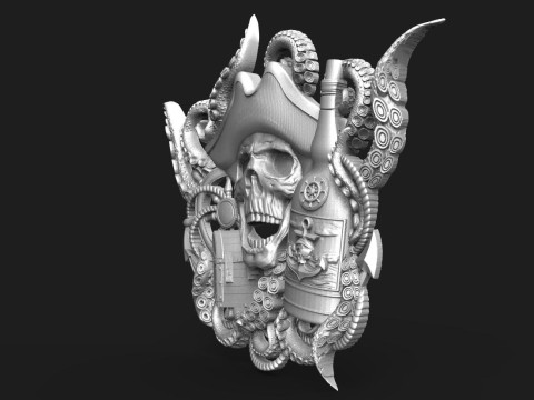 Pirate skull CNC 3D 打印模型