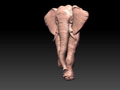 Elephant CNC 3D Print Model