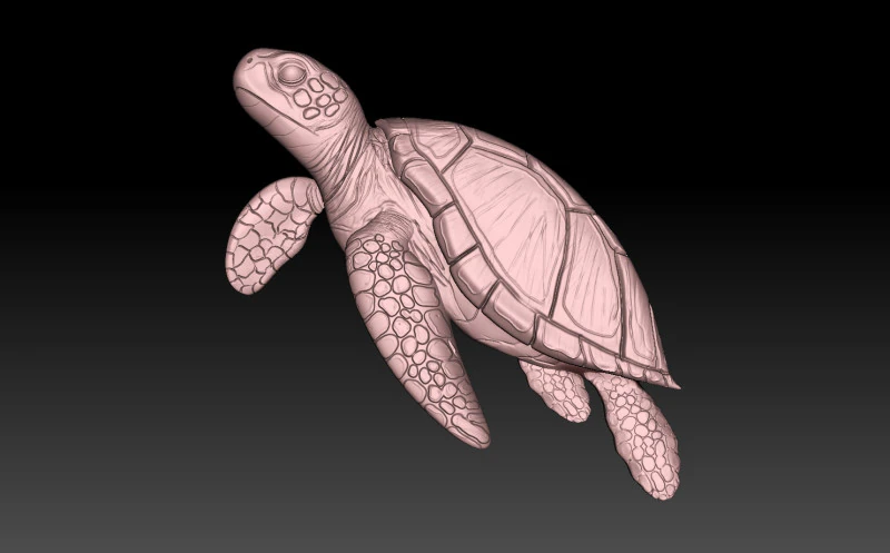 Turtle CNC 3D Print Model .c4d .max .obj .3ds .fbx .stl .blend 