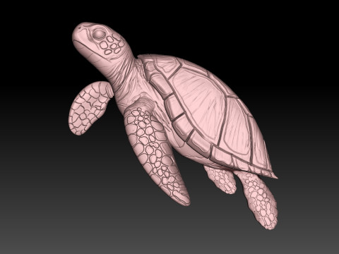 Turtle CNC Modello di stampa 3D