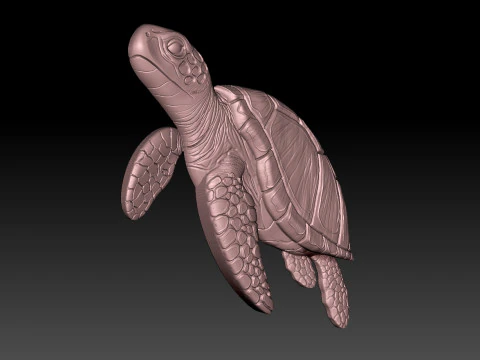 Turtle CNC 3D Print Model